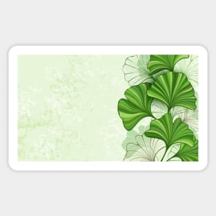 Stylized, green and contour, brown leaves of Ginkgo biloba on green, textured, paper background.  Ginkgo biloba. Sticker